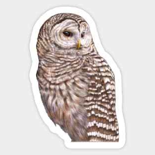 Barred Owl Sticker